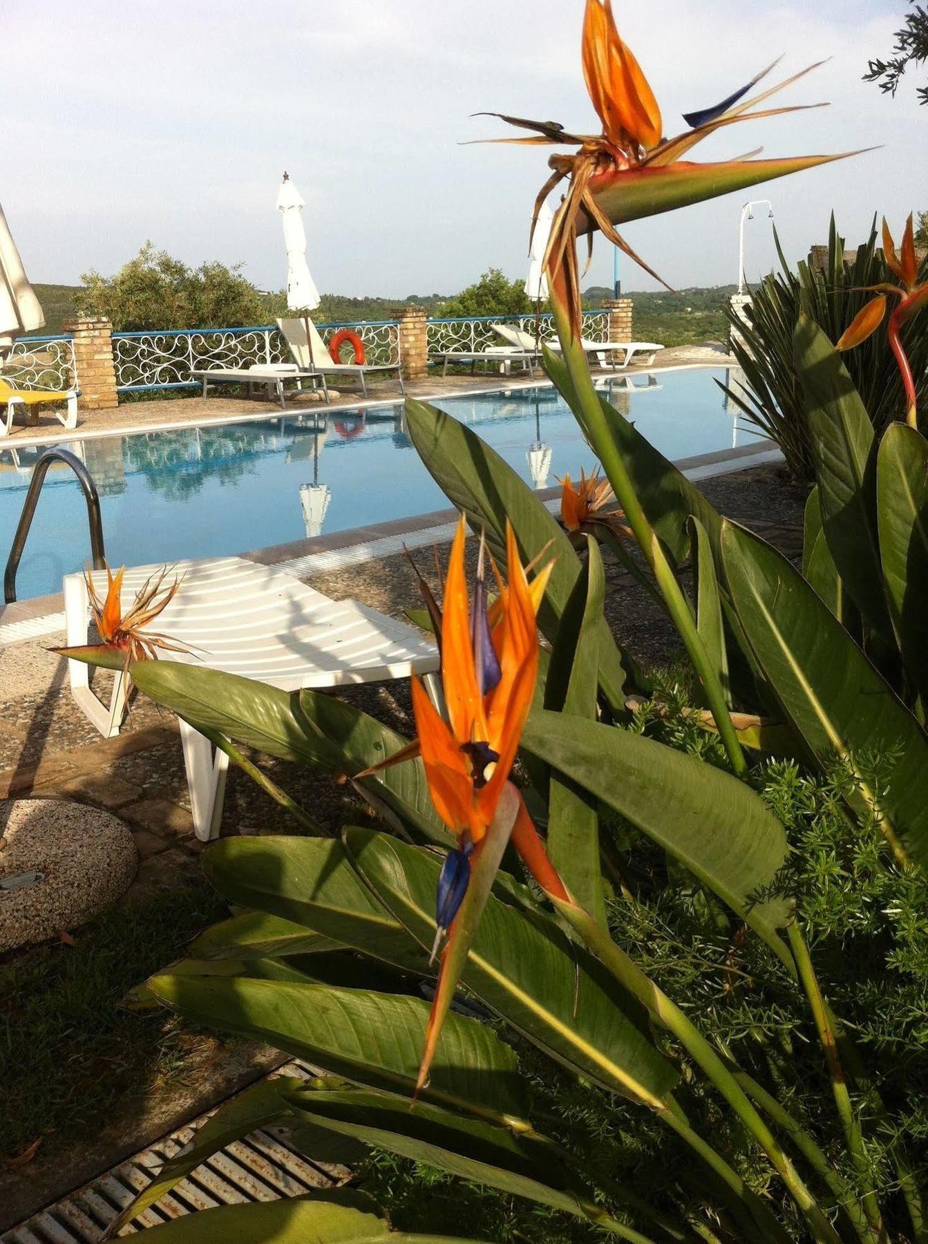 Fundana Villas Kanakádes Exteriér fotografie